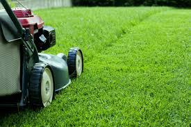 Holgers-Objektservice